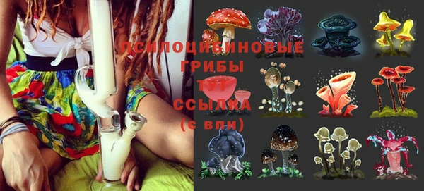 индика Балахна