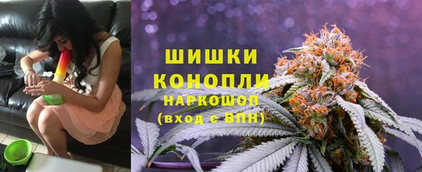ГАЛЛЮЦИНОГЕННЫЕ ГРИБЫ Баксан