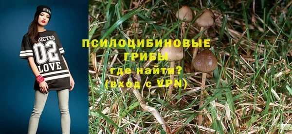 индика Балахна